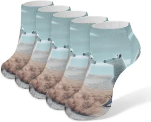 Alpaca on The Grass Ankle Socks for Men & Women, 5 Pairs Breathable Soft Low Cut Socks, Stretch Sweat Wicking Sox